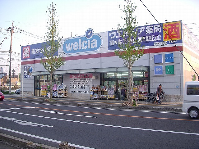 ドラックストア　ウエルシア市原辰巳台店（ドラッグストア）まで322m