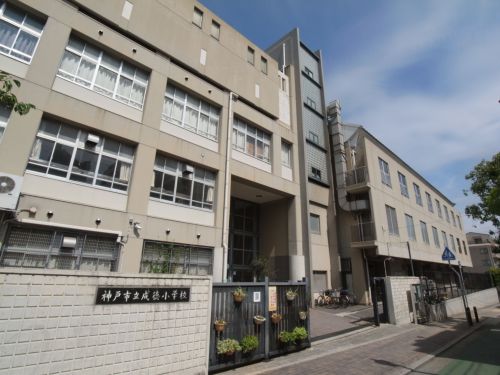 小学校　神戸市立 成徳小学校（小学校）まで532m