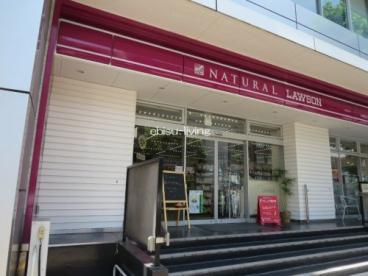 コンビニ　ナチュラルローソン広尾駅前店（コンビニ）まで76m