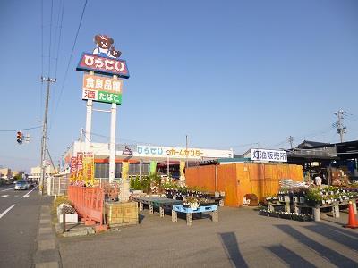 ホームセンター　ひらせいホームセンター坂井店（ホームセンター）まで2048m
