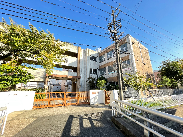小学校　名古屋市立常磐小学校（小学校）まで499m