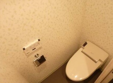 京王新線 初台駅 徒歩6分 10階建 築15年のトイレ写真