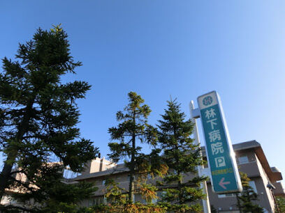 病院　医療法人社団林下病院（病院）まで1960m