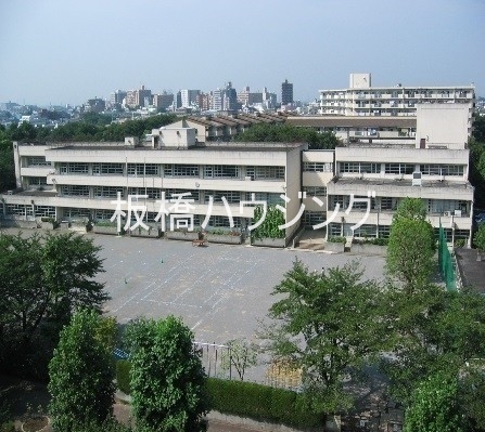 小学校　板橋区立赤塚小学校（小学校）まで917m