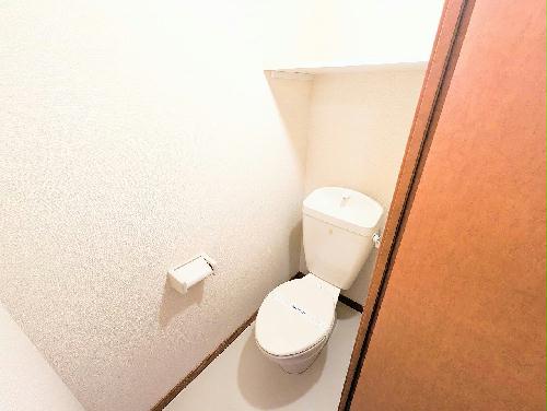 トイレ　設備仕様は号室により異なる為、現況を優先します。