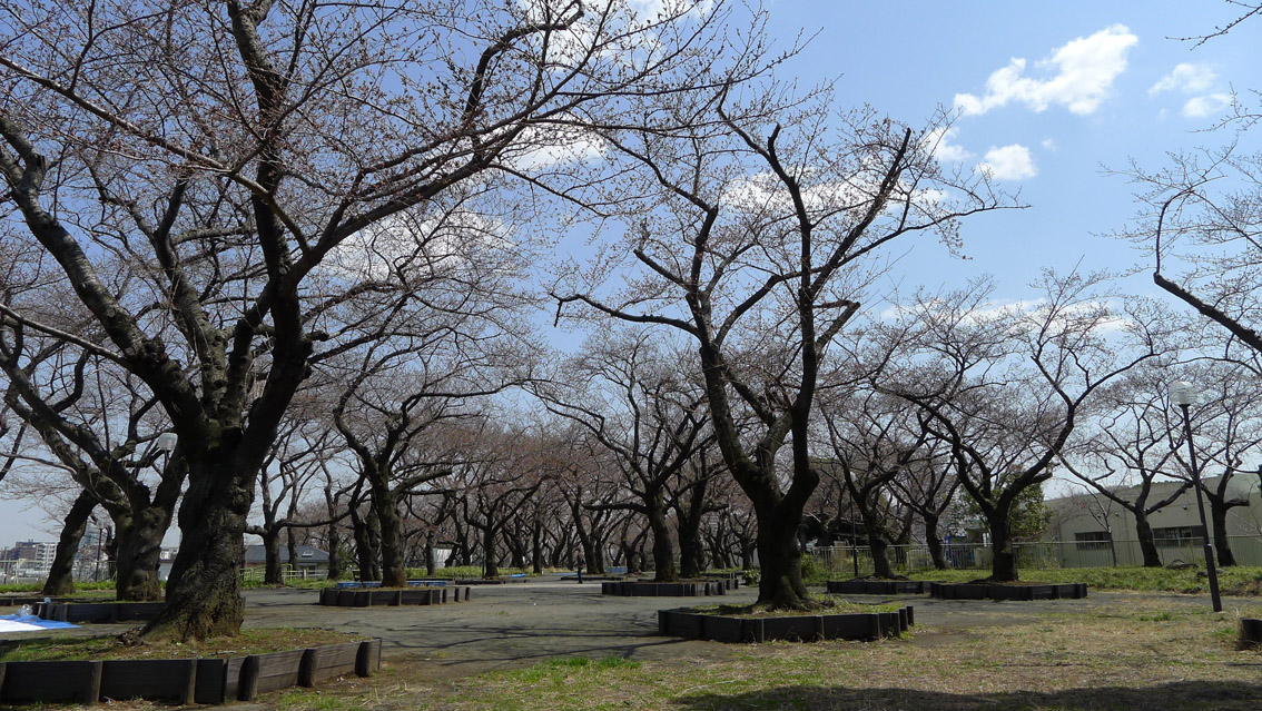 【ティーリーフ横浜モデルノの公園】