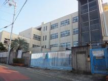 小学校　柏原市立堅下小学校（小学校）まで359m