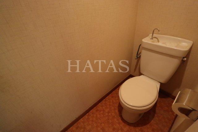 トイレ　同物件別部屋です。