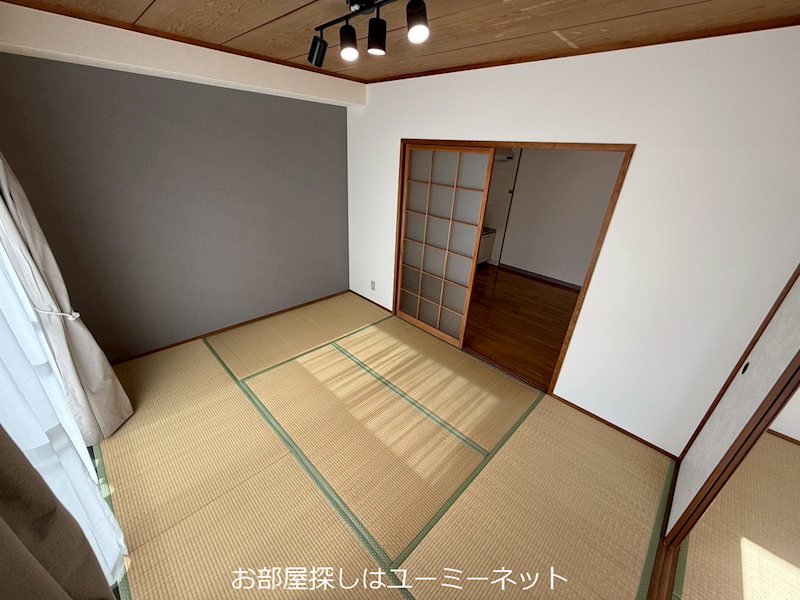 その他　アクセントクロスが映えるお部屋です！