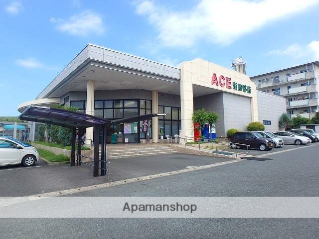 スーパー　イワサキ・エース新南部店（スーパー）まで300m