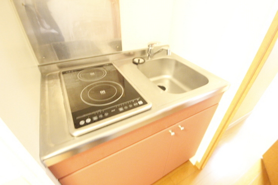 キッチン　※別号室の写真です