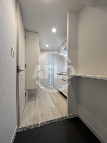 玄関　ソルテラス阿波座ウィズ　玄関