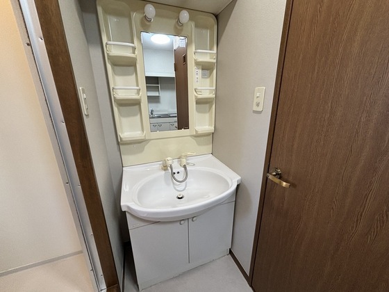 洗面設備　※別号室のお写真です