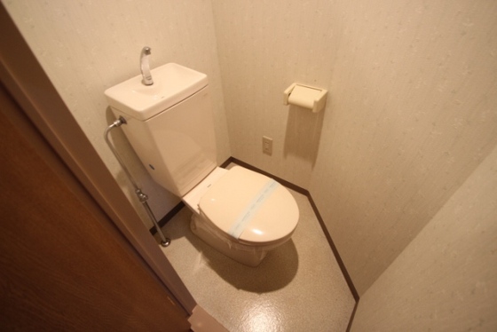 トイレ　※別号室の写真です