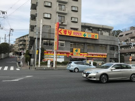 ドラックストア　どらっぐぱぱす西馬込店（ドラッグストア）まで212m