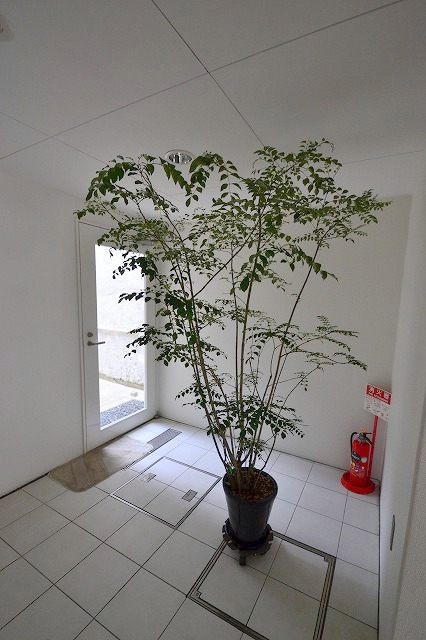 その他共有部分　雰囲気の良いエントランスです。