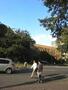 その他　北海道大学（その他）まで955m