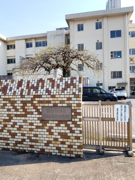 小学校　我孫子市立我孫子第四小学校（小学校）まで625m