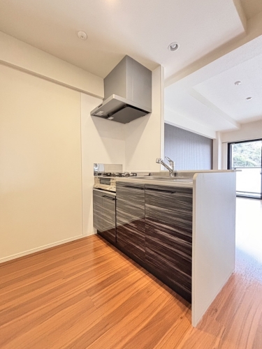 キッチン　コンロ設備無