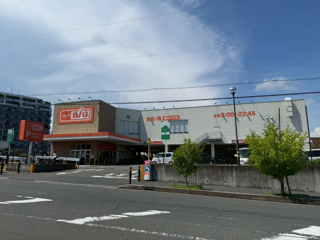 スーパー　The Big(ザ・ビッグ) 平塚真田店（スーパー）まで1300m