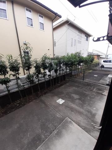 庭