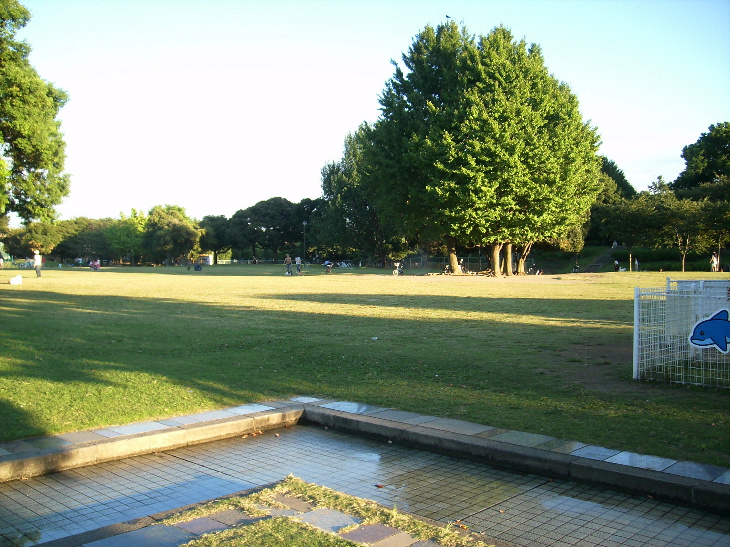 公園　大師公園（公園）まで655m