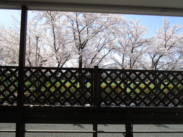 眺望　画像は102号室です（参考）