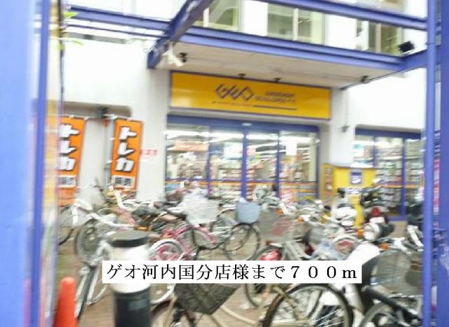 レンタルビデオ　ゲオ河内国分店（レンタルビデオ）まで700m
