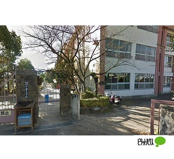 小学校　和歌山市立小倉小学校（小学校）まで527m
