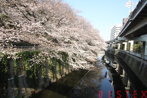 その他　神田川（その他）まで199m