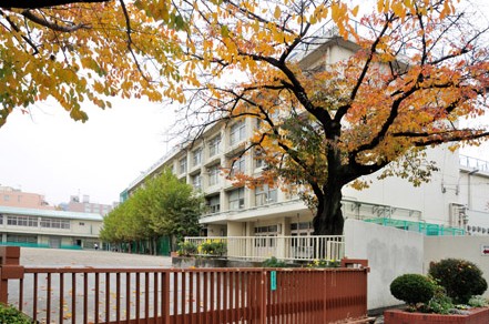 中学校　練馬区立石神井東中学校（中学校）まで523m