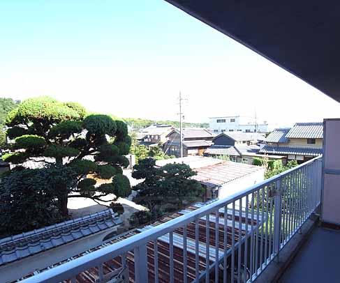 眺望　周りには高い建物が無いです。