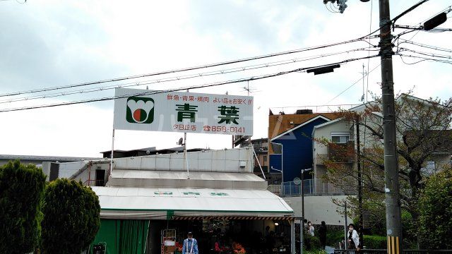 スーパー　青葉　夕日丘店（スーパー）まで1388m