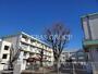 小学校　千葉市立千城台みらい小学校（小学校）まで288m
