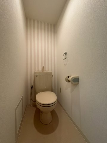 南海泉北線 深井駅 徒歩2分 9階建 築23年のトイレ写真