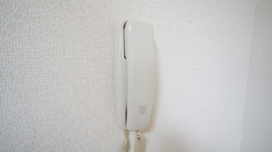 グランプリのその他写真