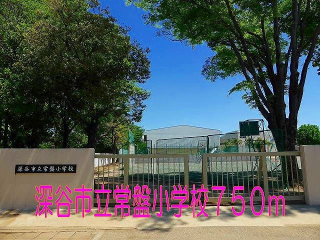 小学校　深谷市立常盤小学校（小学校）まで750m