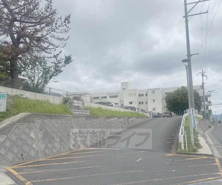 中学校　松原中学校（中学校）まで585m