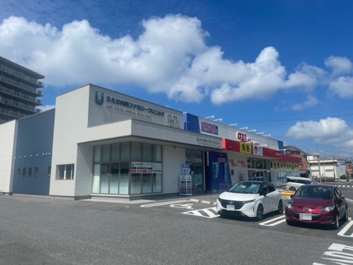 ドラックストア　ドラッグストアウェルネス橋南店（ドラッグストア）まで648m