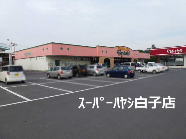 【長生郡白子町剃金のマンションのスーパー】