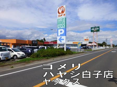 【長生郡白子町剃金のマンションのドラックストア】