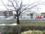 眺望　春先には窓から見える桜がきれいです。
