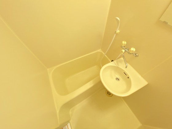 バス・シャワールーム　※別号室の写真です