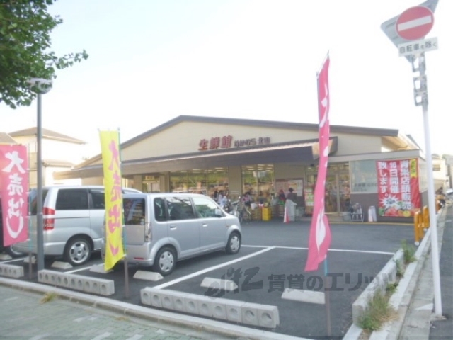 スーパー　生鮮館北山店（スーパー）まで290m