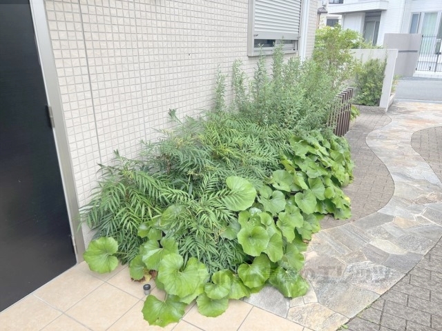 その他　植栽