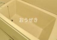 バス・シャワールーム　※同仕様参考写真