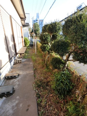 庭