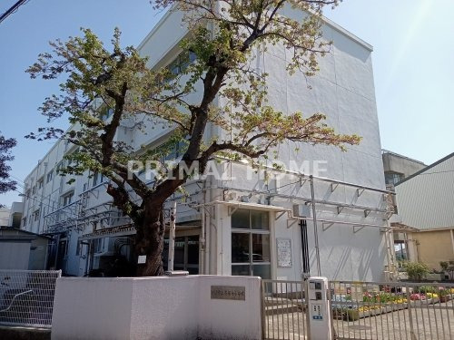 小学校　横浜市立斎藤分小学校（小学校）まで206m