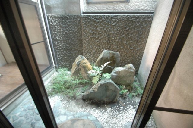 庭