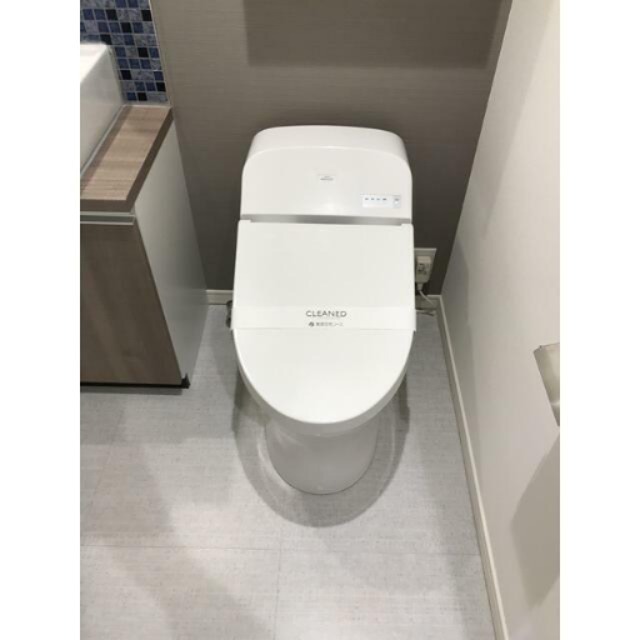 トイレ　※同仕様写真含む
